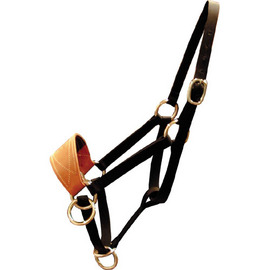 Pack Halter - Specialty Halter - Harness Leather